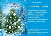 С Новым 2013 годом!